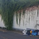 두암중학교 이미지