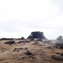 하얀산호 민박 이미지