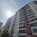 호수아파트2차 | 🏘️서울시 강남구 압구정 한양2차아파트 외벽 탈락 보수 후기｜🚨낙하물 사고 예방을 위한 사전 제거 보수작업