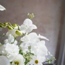 화이트빌리지 | 플라워샵 용산구 한남동 유엔빌리지 꽃배달 고급 화이트꽃바구니 주문 만족 후기 라포레드유 laforetdeyou