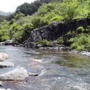 정자나무집민박 이미지