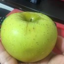 바람부리애플700 이미지