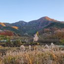 [공지] 캠핑은 겨울이 제맛, 구미 금오산 힐링캠프로 Go!