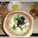 너구리의 피난처 이미지