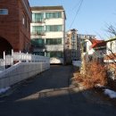 탄벌동-16 이미지