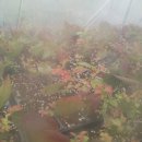 태안농장 이미지