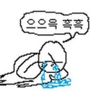 월수금 통돼지 김치찌개 이미지