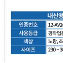 인더스주 이미지