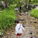 산촌농장(2) 이미지