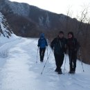 월봉4로 이미지