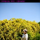 나라 차오름 이미지