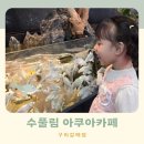 구리갈매 아이랑 오늘은 뭐하지? 수풀림 아쿠아카페 솔직후기