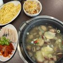 선릉역 점심 맛집 추천ㅣ육지로간 고래 선릉점 칼국수, 보쌈 후기
