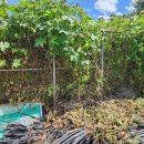 도경농장 이미지