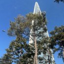 우신타워 앞  삼각지 | 잠실 뷔페 마키노차야블랙31 잠실롯데타워점 평일 런치 후기 뷰가 멋진 곳 주차정보