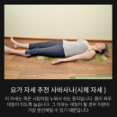 요가다운 | 요가 5개월차 후기! (아치자세 성공, 다운독이 이런 자세였구나, 유연성이 조금 늘다, 요가의 장점)