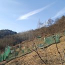 산골짜기농장 이미지