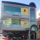 챠밍도그 | 은평구 애견카페 디어도그(Dear Dog) 리얼 후기!