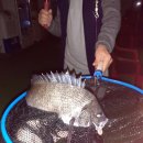 파도실내바다낚시터 이미지