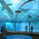 (주)제주해양과학관 이미지