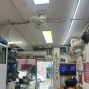 왕개미분식 이미지