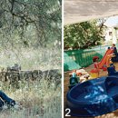 나무메드 이미지