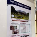 승부역가는길 | 기차여행, V-TRAIN(백두대간 협곡열차) 탑승 후기(영주역 코스, 좌석 예매 방법, 낙동강 세평 하늘길)