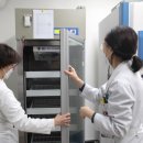 동해시-26 이미지