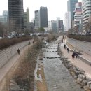 서울떡볶기