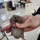 패러그린 대연점 이미지