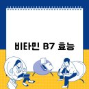 B7 이미지