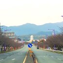 청도군-15 이미지