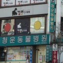 청운동물병원 이미지