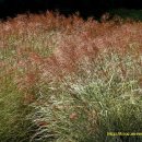 샬롬농원 이미지