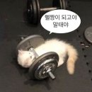 피티 명가 | 부산헬린이의 여름 준비 수영역피티 1대1 프라이빗 PT샵 방문 후기 수영피티 수영PT 바라던PT