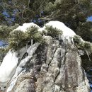 지리산봄날 이미지