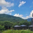 홈즈펫타운 이미지