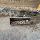 상산초교 병설유치원 이미지