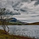 새날요양원 이미지