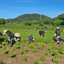 완주 케이에스피뉴스