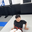 태무강울태권도장 | [산곡동태권도] 태무강울 태권도장 아이들의 새로운 도전!! 기계체조 수업!! [부원초/미산초/부곡초]