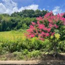 고려동 회관 이미지