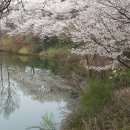 고복저수지, 세종시 용암리 - 150412 이미지