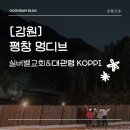 멍디브 | [진돗개동반] 평창 여행 코스 | 실버벨교회 - 대관령 Koppi - 멍디브 후기 🏡