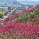 금산마을 이미지