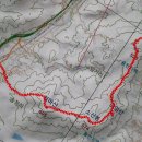 영천초교 이미지