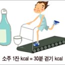 성인이 하루 분해할수 있는 알콜 최대한계 하루80g(소주10잔)이며 그이상 넘어서면 간경화 고혈압 심근경색등 술병 찾아온다 이미지