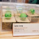 제주하우스 이미지
