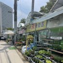 원플라워 이미지