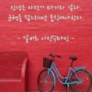 에스지인베스트먼트